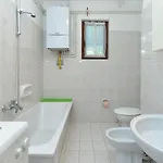 Irena 531 *